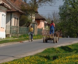 Rakaca: The settlement is located close to the basin of the valley of the Rakaca stream, on the territory of the once Borsod-county. Rakaca inherited its Slavic name from a stream traversing the village, a stream that was land marked in the 1249 perambulation.
By the first half of the 20th Century the settlement was a flourishing one: it had its own Greek-Catholic public school, general practitioner and post office.
Today Rakaca is inhabited by a larger Gypsy population that is cut from the outside world, deprived of any chances for employment, hoping for outside help to improve their living conditions.
