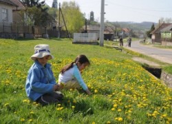 Rakaca: The settlement is located close to the basin of the valley of the Rakaca stream, on the territory of the once Borsod-county. Rakaca inherited its Slavic name from a stream traversing the village, a stream that was land marked in the 1249 perambulation.
By the first half of the 20th Century the settlement was a flourishing one: it had its own Greek-Catholic public school, general practitioner and post office.
Today Rakaca is inhabited by a larger Gypsy population that is cut from the outside world, deprived of any chances for employment, hoping for outside help to improve their living conditions.
