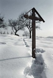 A landscape is winter beside Solymár.