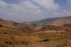 Golan