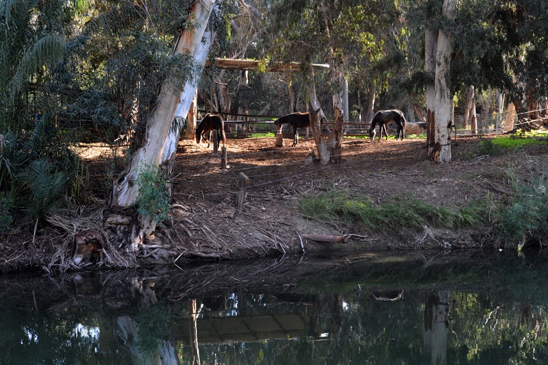 Jordan river, Yardenit, Yarden