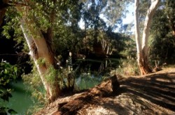 Jordan river, Yardenit, Yarden