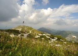 Monte Grapa