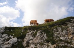 Monte Grapa