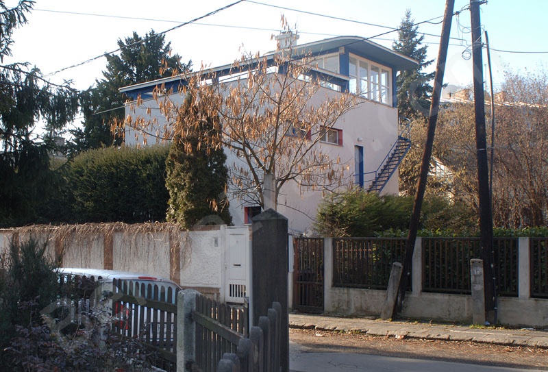 Napraforgó street