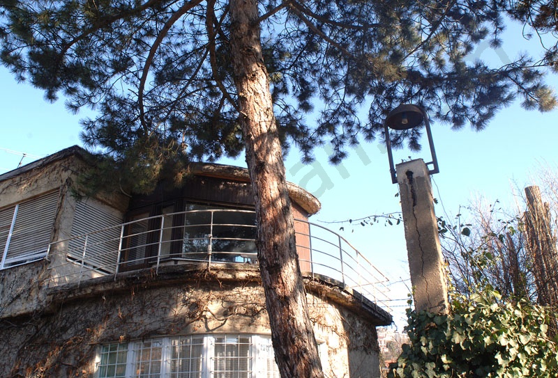 Napraforgó street