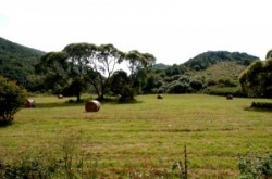 Landscapes of Cserehát

