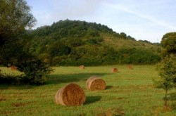 Landscapes of Cserehát

