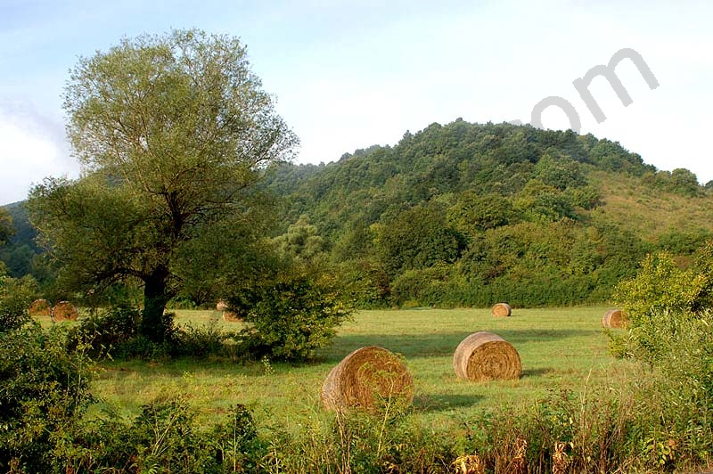 Landscapes of Cserehát

