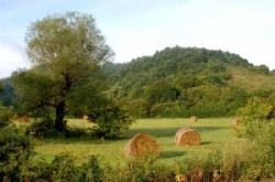 Landscapes of Cserehát

