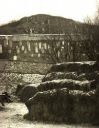 Jewish cemetery