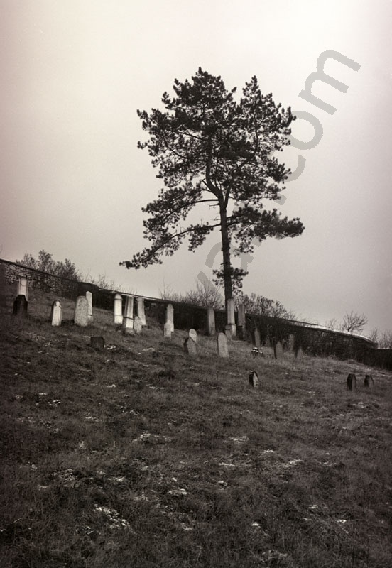 Jewish cemetery
