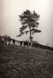 Jewish cemetery