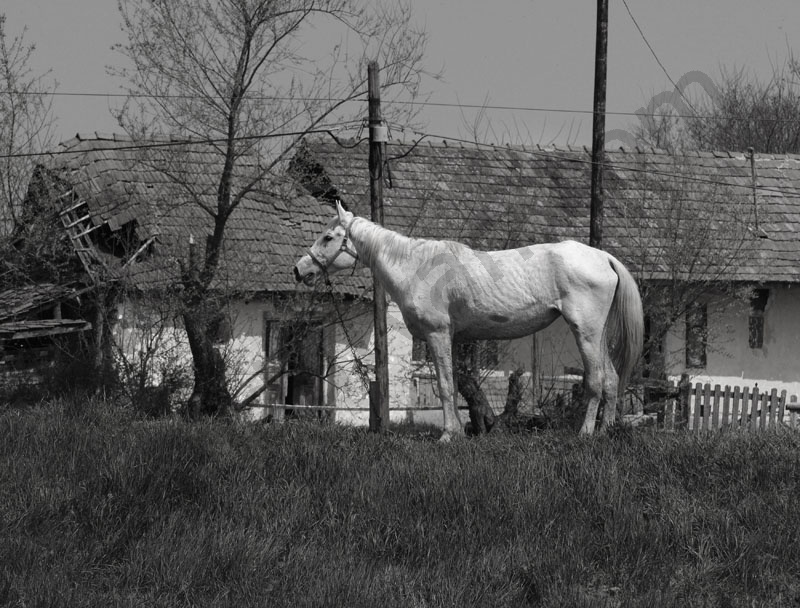 Rakaca: The settlement is located close to the basin of the valley of the Rakaca stream, on the territory of the once Borsod-county. Rakaca inherited its Slavic name from a stream traversing the village, a stream that was land marked in the 1249 perambulation.
By the first half of the 20th Century the settlement was a flourishing one: it had its own Greek-Catholic public school, general practitioner and post office.
Today Rakaca is inhabited by a larger Gypsy population that is cut from the outside world, deprived of any chances for employment, hoping for outside help to improve their living conditions.
