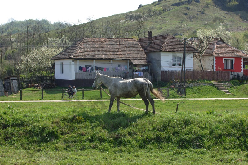 Rakaca: The settlement is located close to the basin of the valley of the Rakaca stream, on the territory of the once Borsod-county. Rakaca inherited its Slavic name from a stream traversing the village, a stream that was land marked in the 1249 perambulation.
By the first half of the 20th Century the settlement was a flourishing one: it had its own Greek-Catholic public school, general practitioner and post office.
Today Rakaca is inhabited by a larger Gypsy population that is cut from the outside world, deprived of any chances for employment, hoping for outside help to improve their living conditions.
