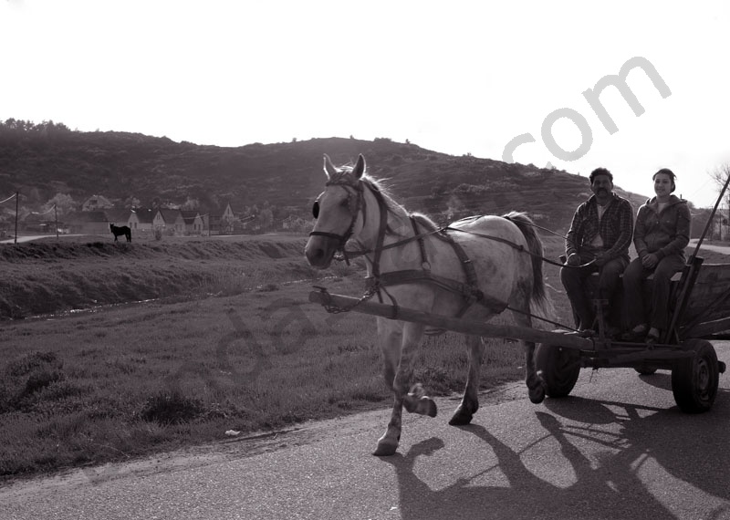 Rakaca: The settlement is located close to the basin of the valley of the Rakaca stream, on the territory of the once Borsod-county. Rakaca inherited its Slavic name from a stream traversing the village, a stream that was land marked in the 1249 perambulation.
By the first half of the 20th Century the settlement was a flourishing one: it had its own Greek-Catholic public school, general practitioner and post office.
Today Rakaca is inhabited by a larger Gypsy population that is cut from the outside world, deprived of any chances for employment, hoping for outside help to improve their living conditions.
