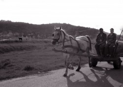 Rakaca: The settlement is located close to the basin of the valley of the Rakaca stream, on the territory of the once Borsod-county. Rakaca inherited its Slavic name from a stream traversing the village, a stream that was land marked in the 1249 perambulation.
By the first half of the 20th Century the settlement was a flourishing one: it had its own Greek-Catholic public school, general practitioner and post office.
Today Rakaca is inhabited by a larger Gypsy population that is cut from the outside world, deprived of any chances for employment, hoping for outside help to improve their living conditions.
