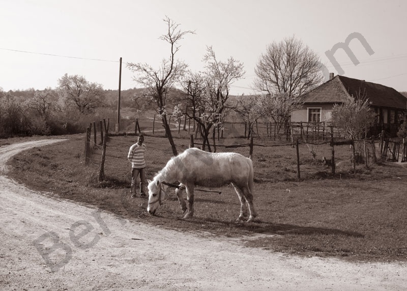 Rakaca: The settlement is located close to the basin of the valley of the Rakaca stream, on the territory of the once Borsod-county. Rakaca inherited its Slavic name from a stream traversing the village, a stream that was land marked in the 1249 perambulation.
By the first half of the 20th Century the settlement was a flourishing one: it had its own Greek-Catholic public school, general practitioner and post office.
Today Rakaca is inhabited by a larger Gypsy population that is cut from the outside world, deprived of any chances for employment, hoping for outside help to improve their living conditions.
