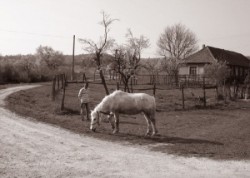 Rakaca: The settlement is located close to the basin of the valley of the Rakaca stream, on the territory of the once Borsod-county. Rakaca inherited its Slavic name from a stream traversing the village, a stream that was land marked in the 1249 perambulation.
By the first half of the 20th Century the settlement was a flourishing one: it had its own Greek-Catholic public school, general practitioner and post office.
Today Rakaca is inhabited by a larger Gypsy population that is cut from the outside world, deprived of any chances for employment, hoping for outside help to improve their living conditions.
