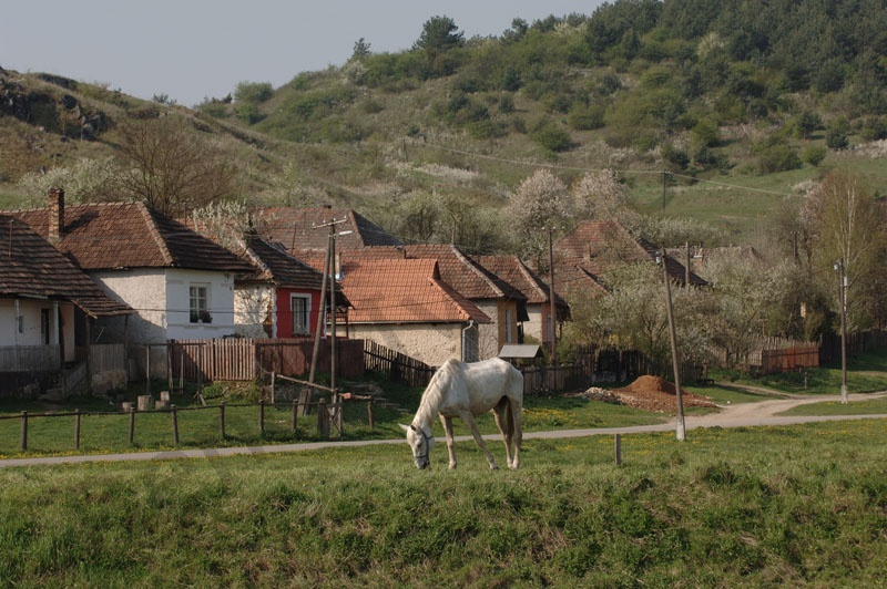 Rakaca: The settlement is located close to the basin of the valley of the Rakaca stream, on the territory of the once Borsod-county. Rakaca inherited its Slavic name from a stream traversing the village, a stream that was land marked in the 1249 perambulation.
By the first half of the 20th Century the settlement was a flourishing one: it had its own Greek-Catholic public school, general practitioner and post office.
Today Rakaca is inhabited by a larger Gypsy population that is cut from the outside world, deprived of any chances for employment, hoping for outside help to improve their living conditions.
