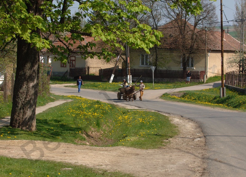 Rakaca: The settlement is located close to the basin of the valley of the Rakaca stream, on the territory of the once Borsod-county. Rakaca inherited its Slavic name from a stream traversing the village, a stream that was land marked in the 1249 perambulation.
By the first half of the 20th Century the settlement was a flourishing one: it had its own Greek-Catholic public school, general practitioner and post office.
Today Rakaca is inhabited by a larger Gypsy population that is cut from the outside world, deprived of any chances for employment, hoping for outside help to improve their living conditions.
