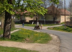 Rakaca: The settlement is located close to the basin of the valley of the Rakaca stream, on the territory of the once Borsod-county. Rakaca inherited its Slavic name from a stream traversing the village, a stream that was land marked in the 1249 perambulation.
By the first half of the 20th Century the settlement was a flourishing one: it had its own Greek-Catholic public school, general practitioner and post office.
Today Rakaca is inhabited by a larger Gypsy population that is cut from the outside world, deprived of any chances for employment, hoping for outside help to improve their living conditions.
