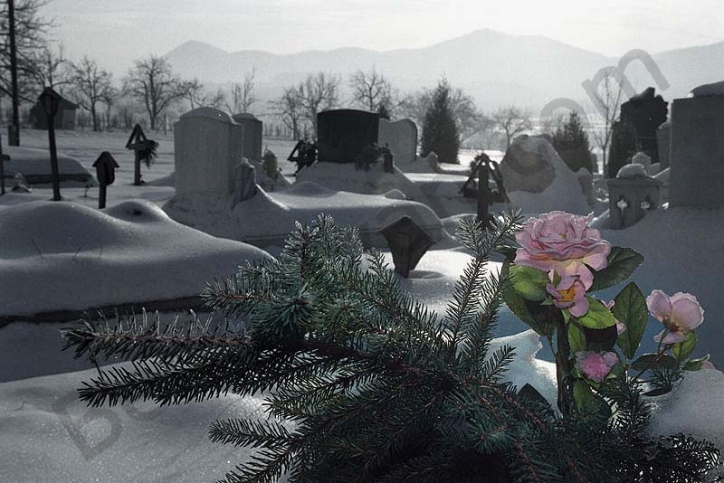 A landscape is winter beside Solymár.