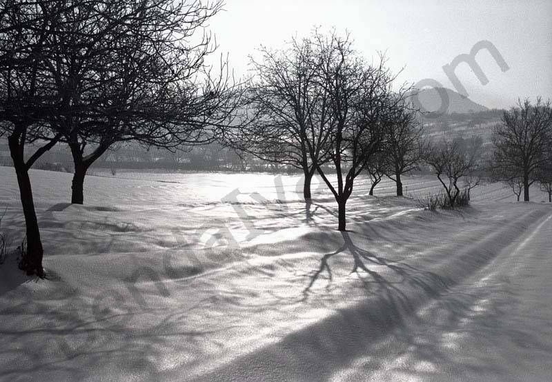 A landscape is winter beside Solymár.