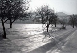 A landscape is winter beside Solymár.