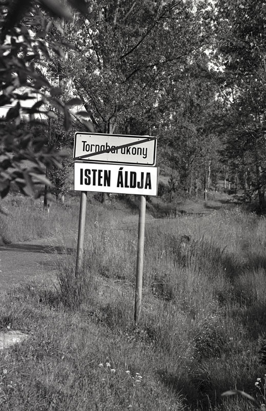 Hungarian Villige. Tornabarakony.