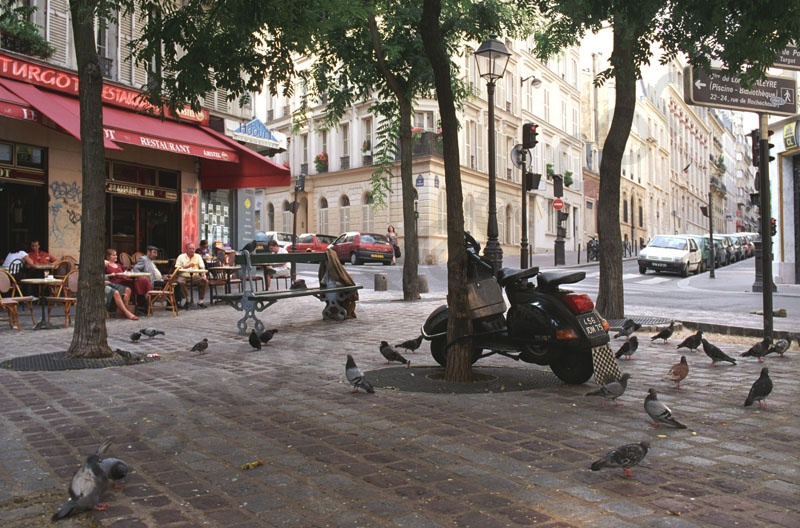 Siesta in a Paris park, with pigeons