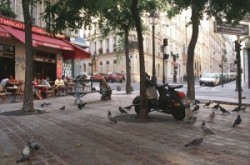 Siesta in a Paris park, with pigeons